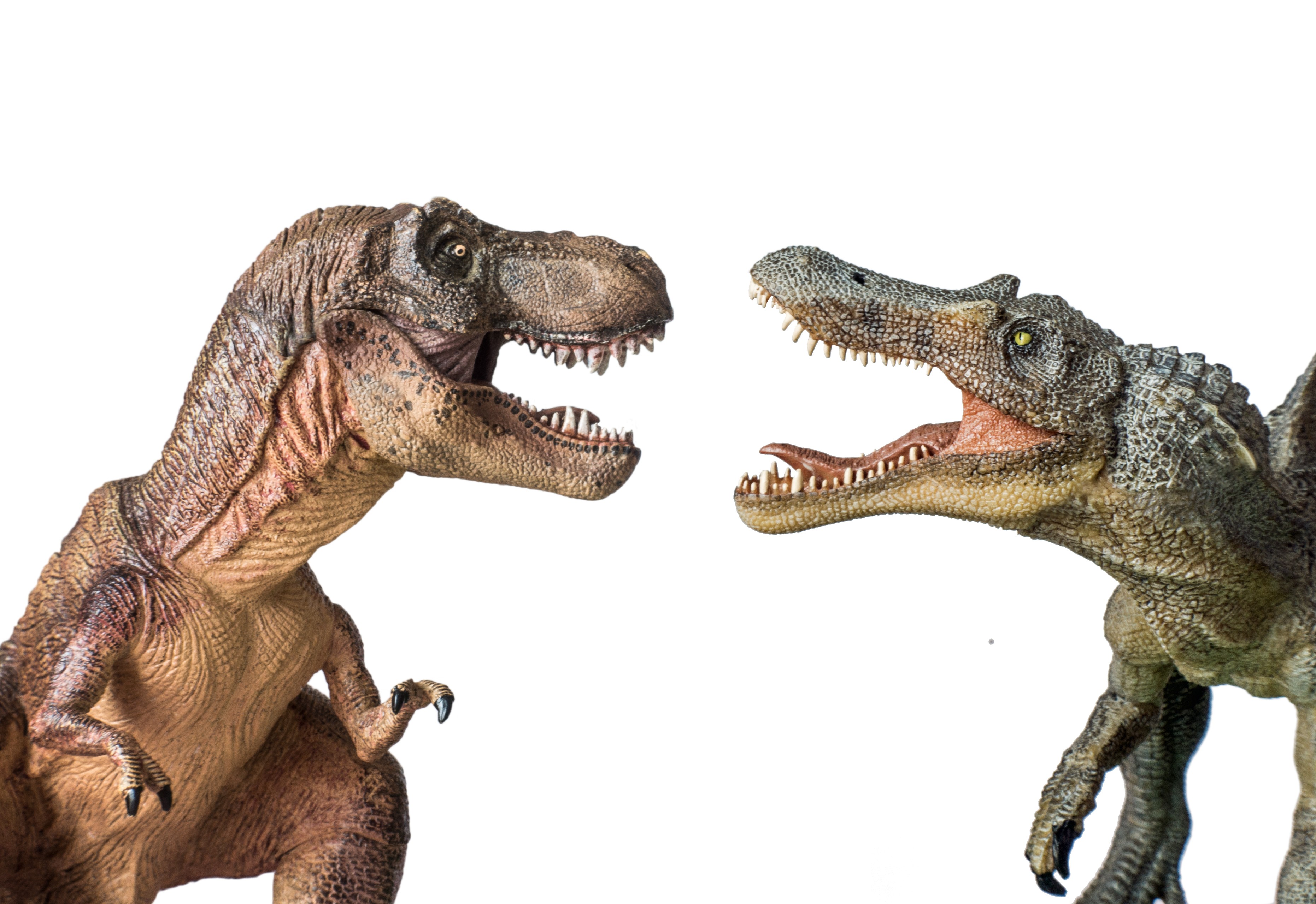 Was Spinosaurus Bigger Than T-Rex? 